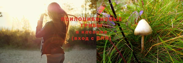 ГАЛЛЮЦИНОГЕННЫЕ ГРИБЫ Балабаново
