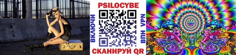 наркота  Власиха  Псилоцибиновые грибы Psilocybe 